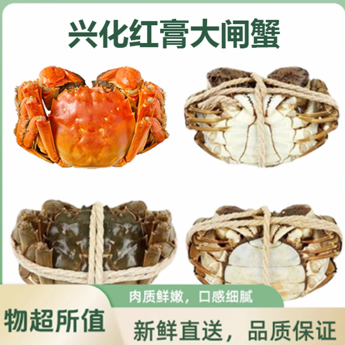 【活蟹】兴化红膏大闸蟹全母3斤/平均3两/10只左右 柏馋