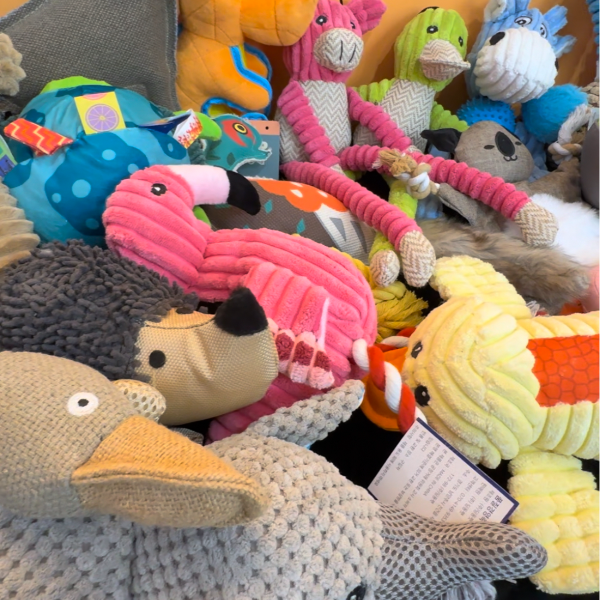 宠物毛绒玩具组合2