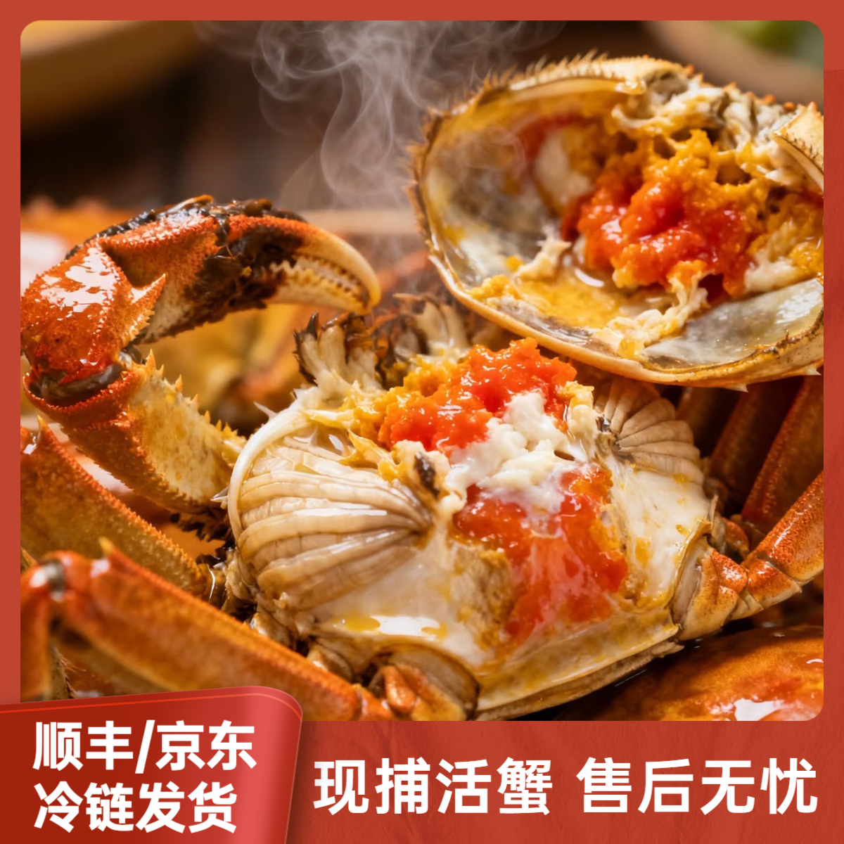 【活蟹   现发】江苏全母大闸蟹 全母蟹3.5-3.2两 共10只 冷链包邮 