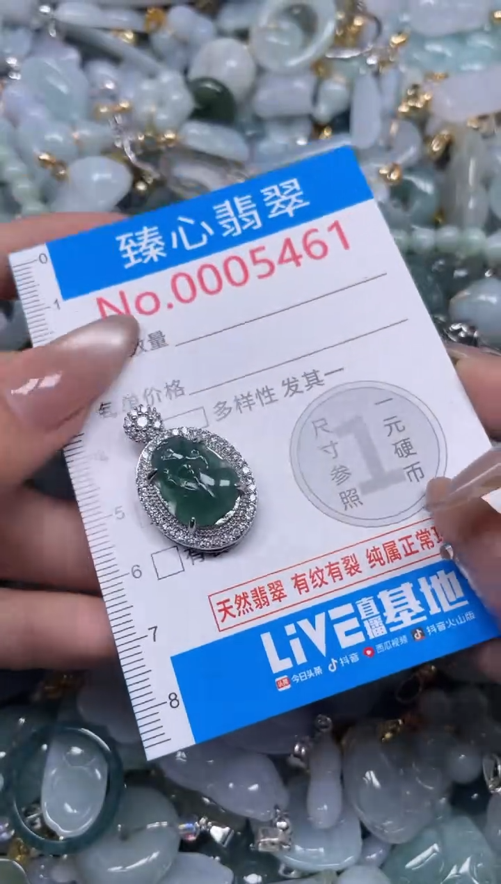 颈饰未镶嵌翡翠5461