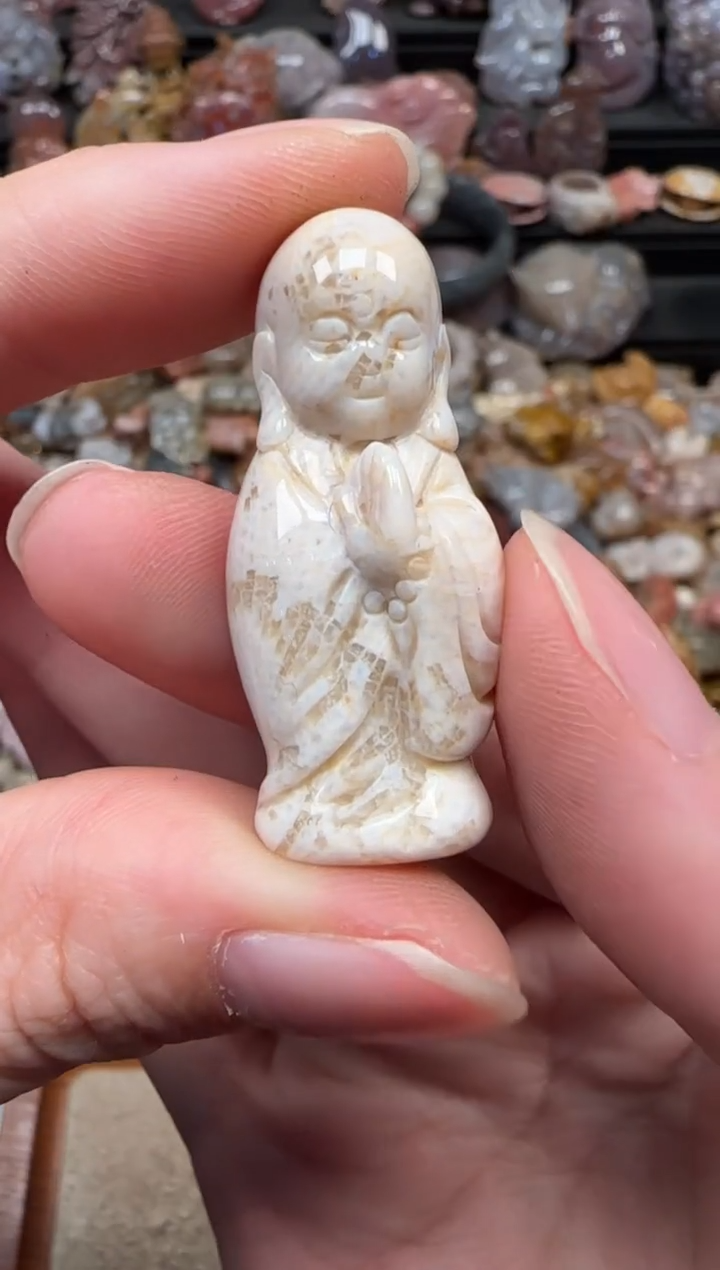 颈饰未镶嵌硅化珊瑚（珊瑚玉）093