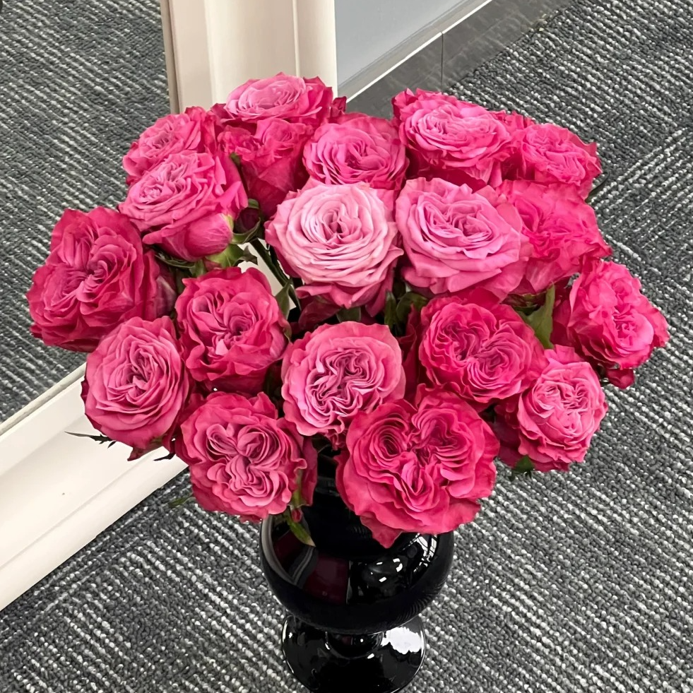 【月亮花圃】单头（蓝调）玫瑰1单普通快递，2单以上顺丰冷链