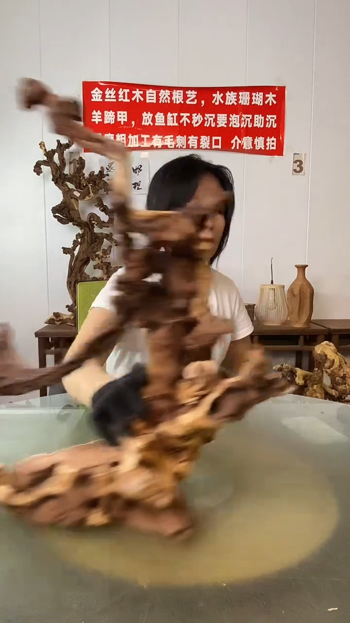 香榧木淡**笑金丝红木 羊蹄甲