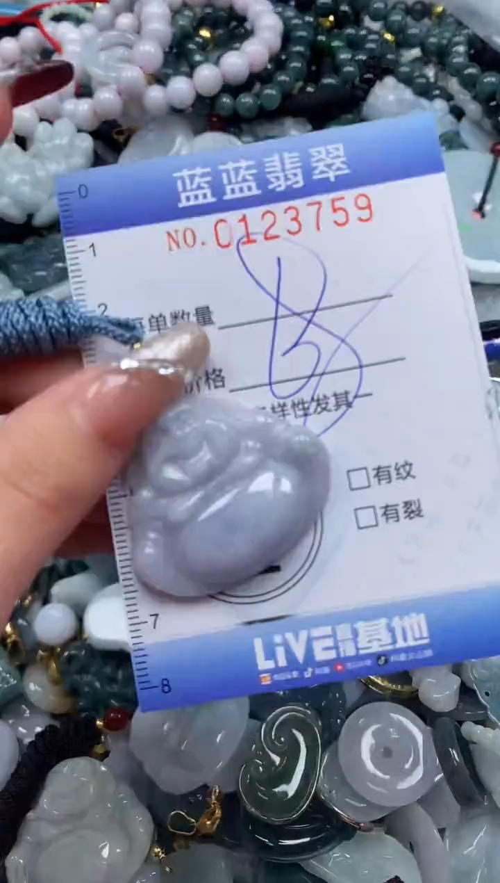 【闪购商品】翡翠颈饰未镶嵌闪购0123759