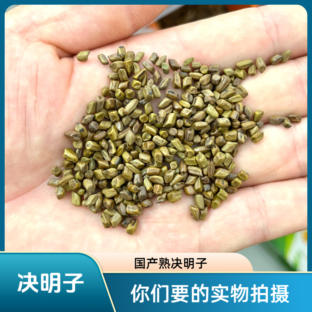 决明子国产菊茶决明子茶草决明生炒熟决明子颈椎枕头