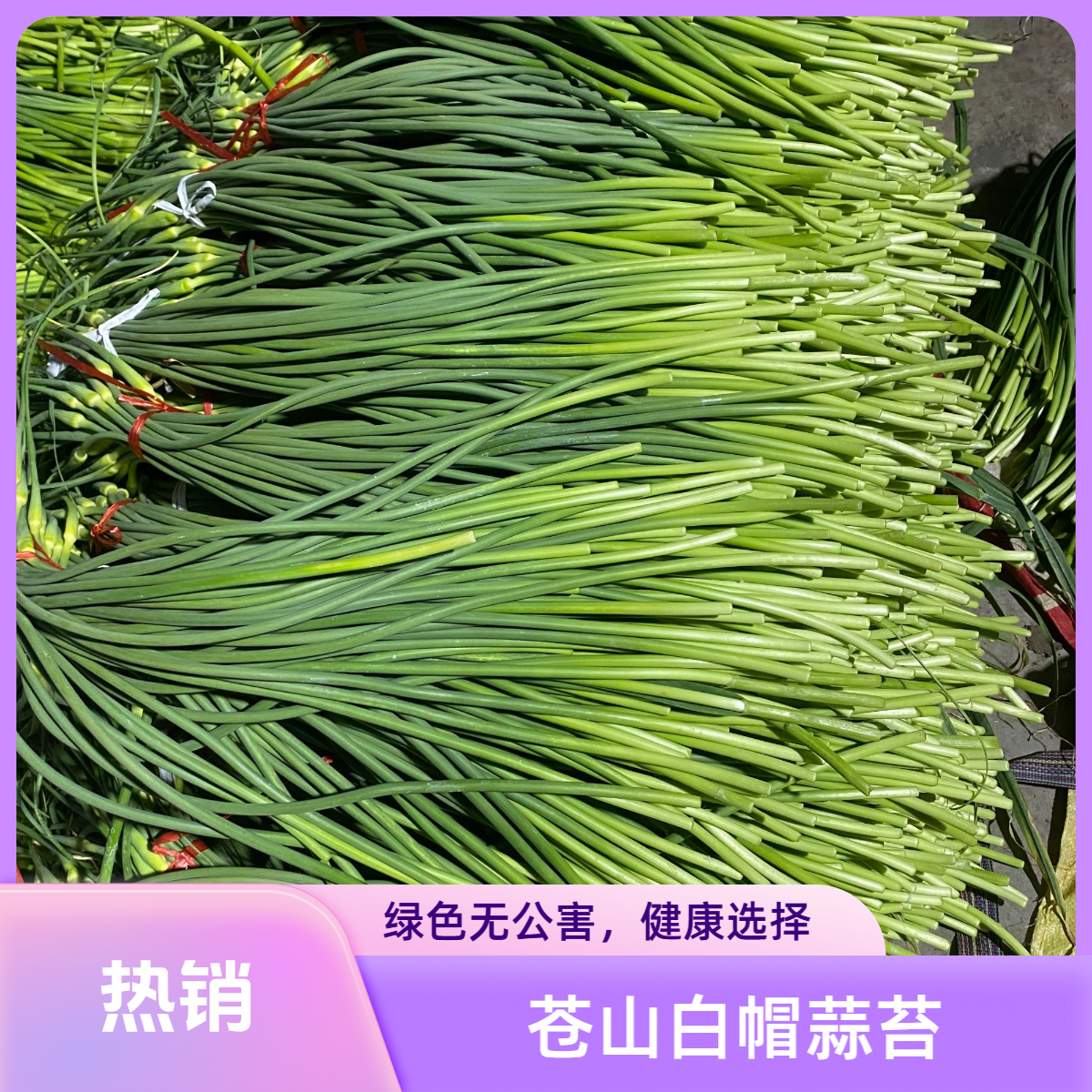 头茬新鲜蒜薹脆嫩爽口苍山白帽当季绿色蔬菜