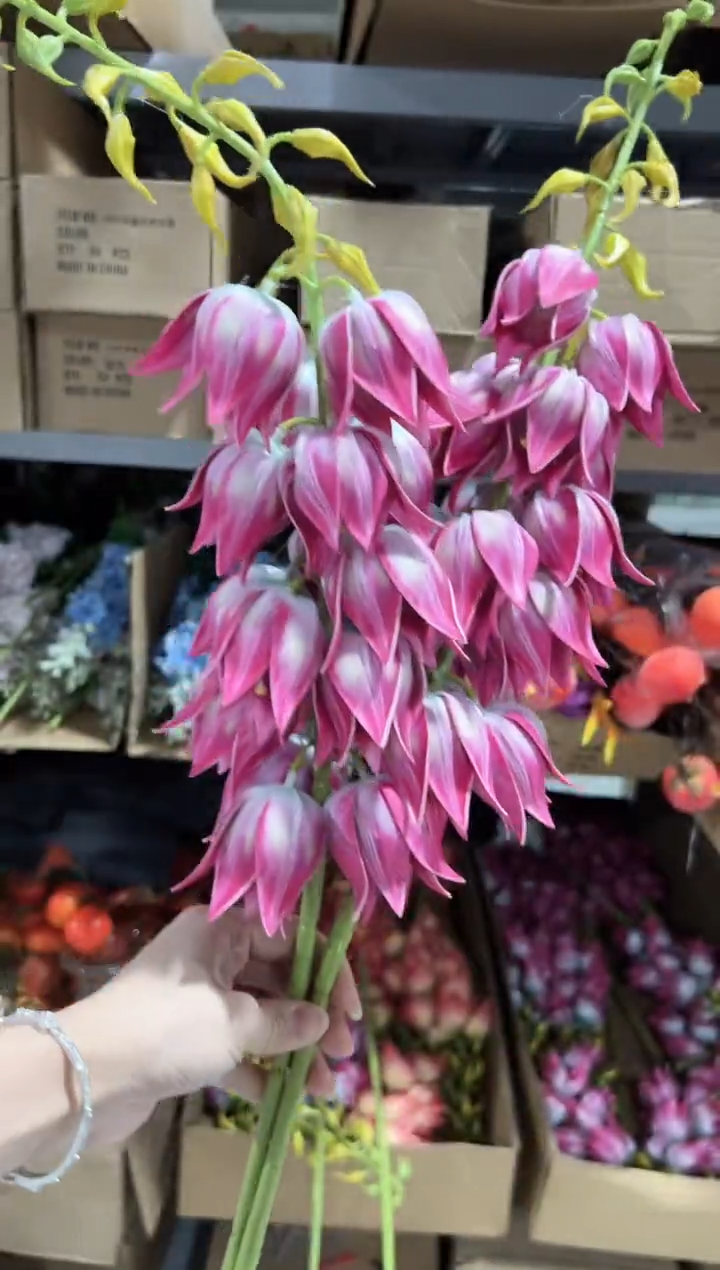 2枝粉色大风铃    