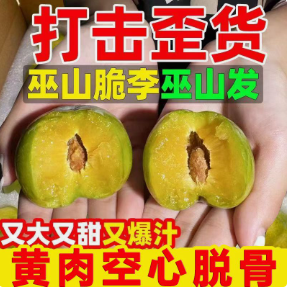 现货]正宗重庆巫山青脆脱骨李现摘当季新鲜水果脆甜多汁脆软两吃