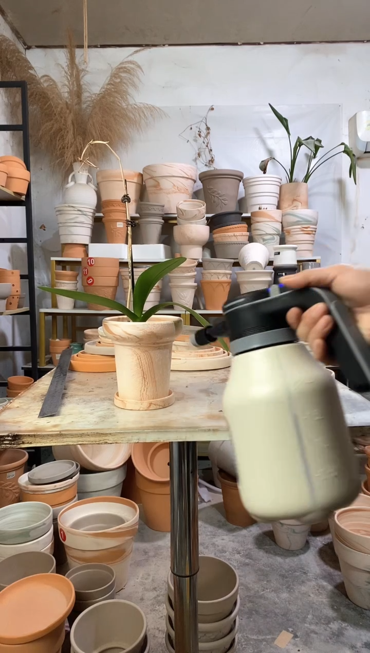 13*13玛奇朵蘑菇 1盆1托