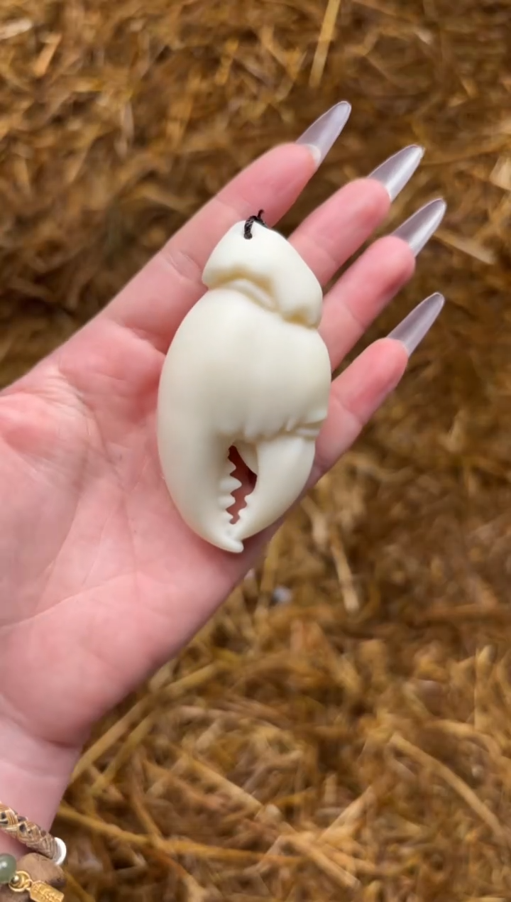 宝贵甄选闪购福利无礼盒