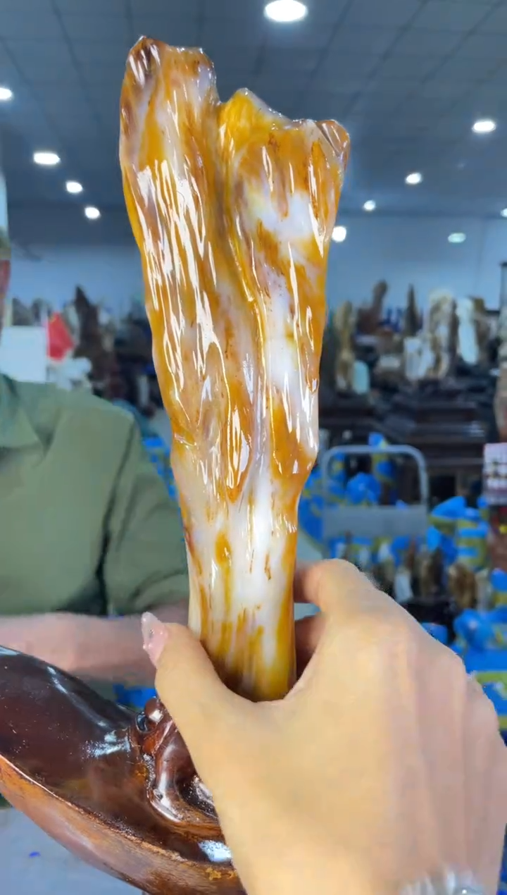 未镶嵌摆件硅化玉24