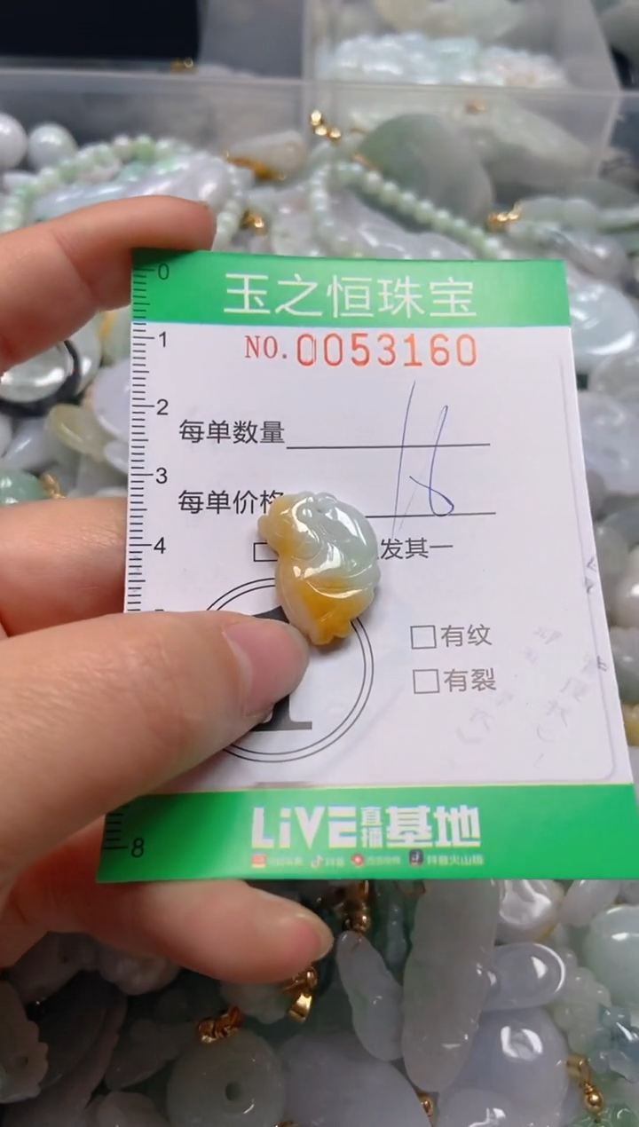 【闪购商品】翡翠颈饰未镶嵌闪购0053160