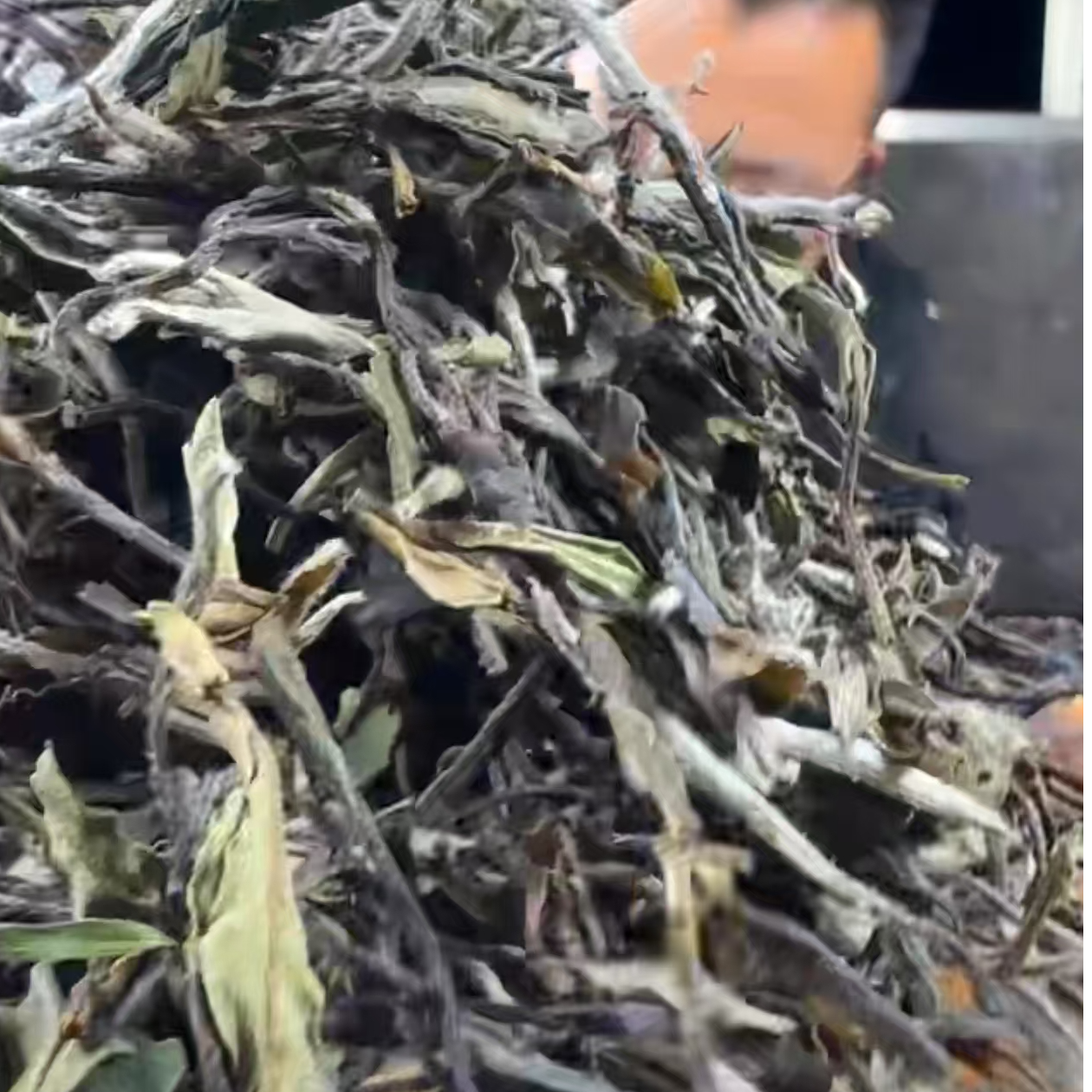 【老六严选】2020年政和二级牡丹250g