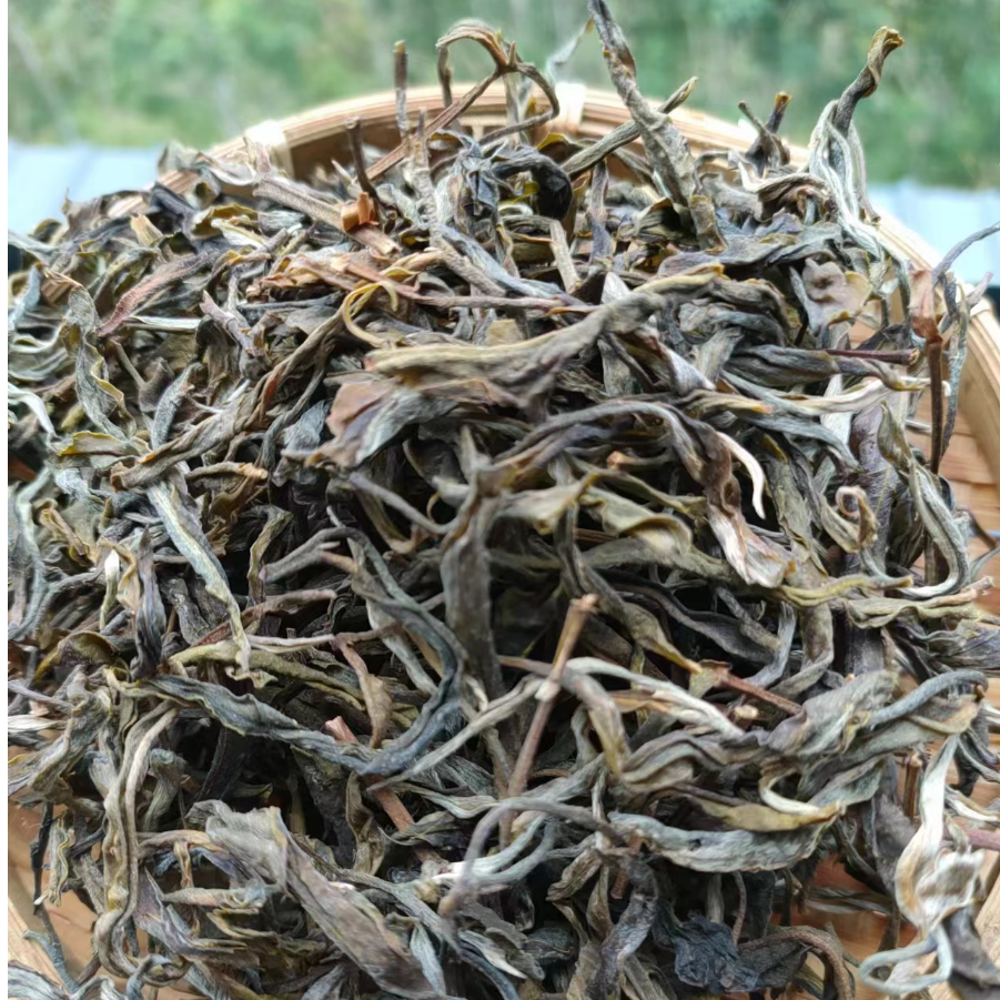 2025年【普洱生茶散茶】