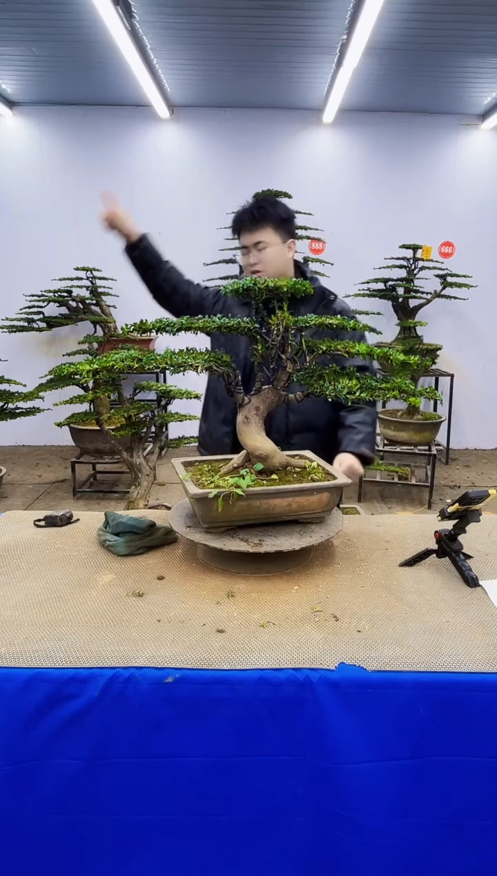 完全开放一物一拍，所见即所得