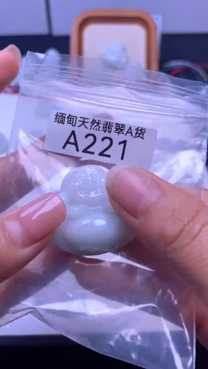 颈饰未镶嵌翡翠A221