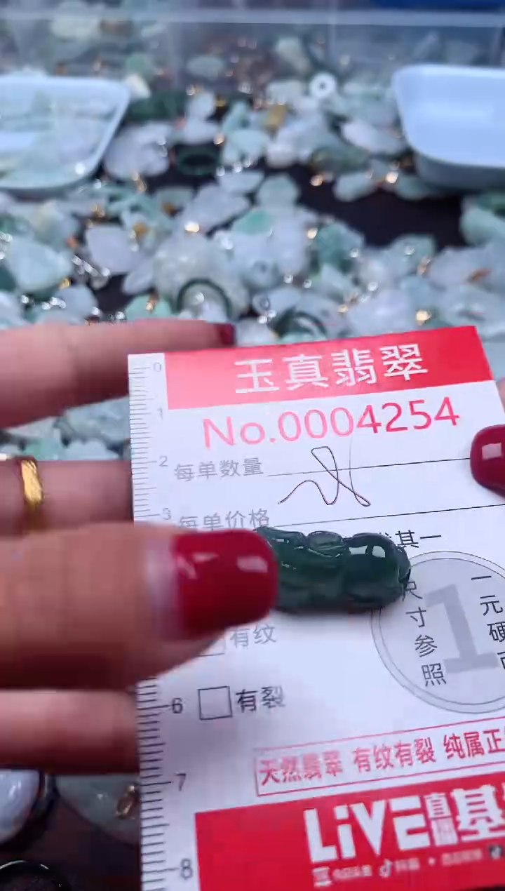 颈饰未镶嵌翡翠4254