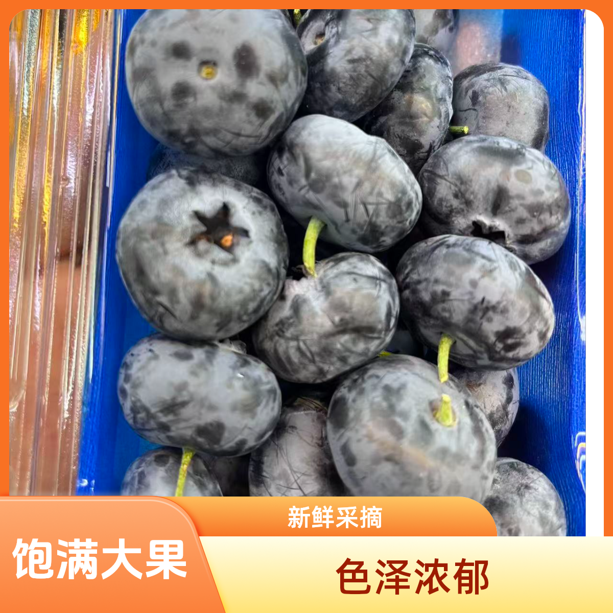 云南精品大蓝莓22＋ 200克云南省