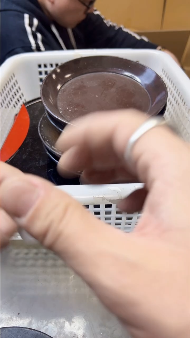 【闪购商品】瓷片609聚宝缘海淘精选