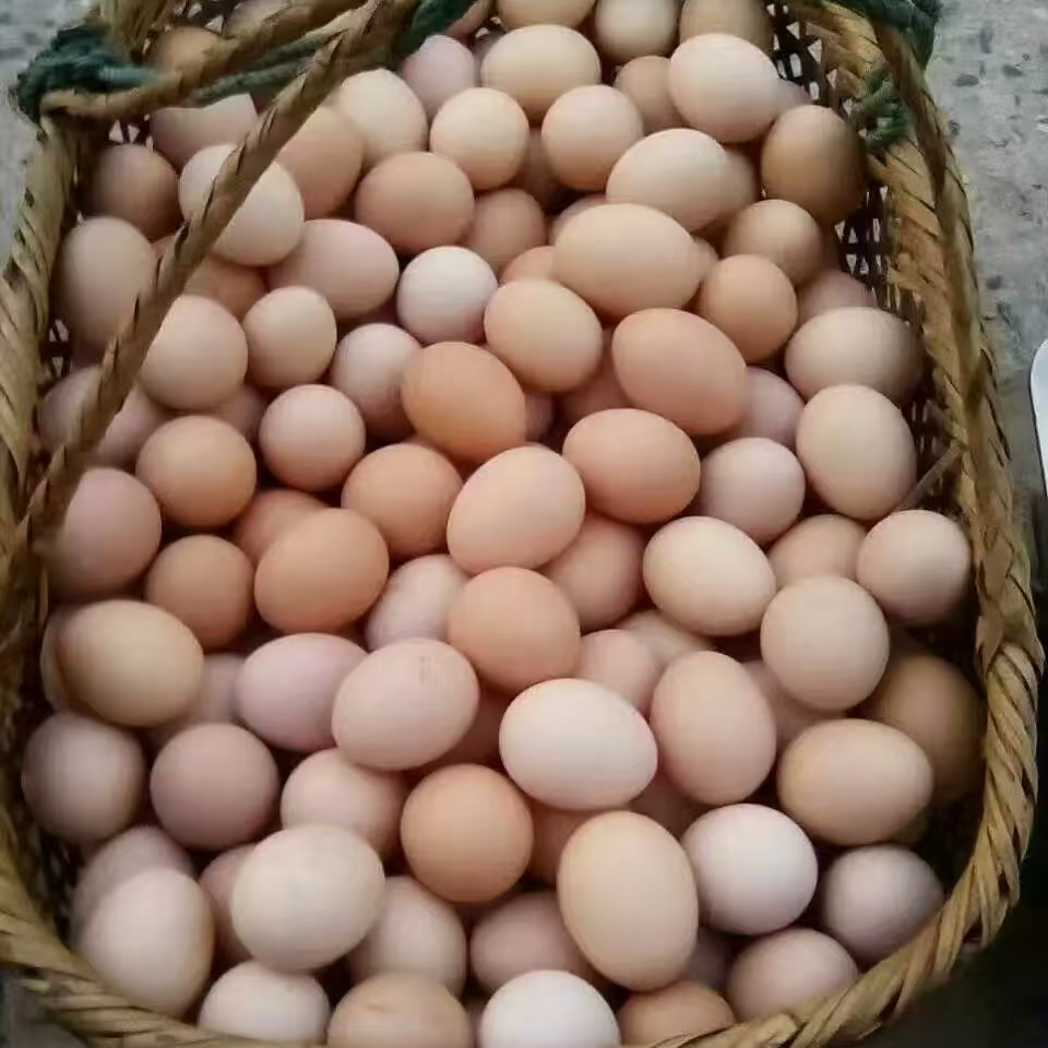 婆罗门鸡蛋亳州华而泰直播链接