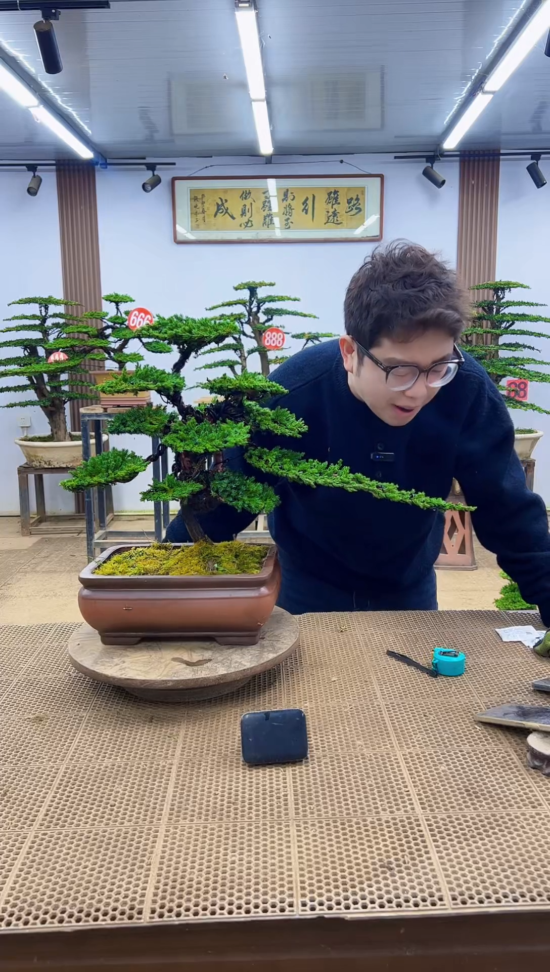 无花朵000000000000