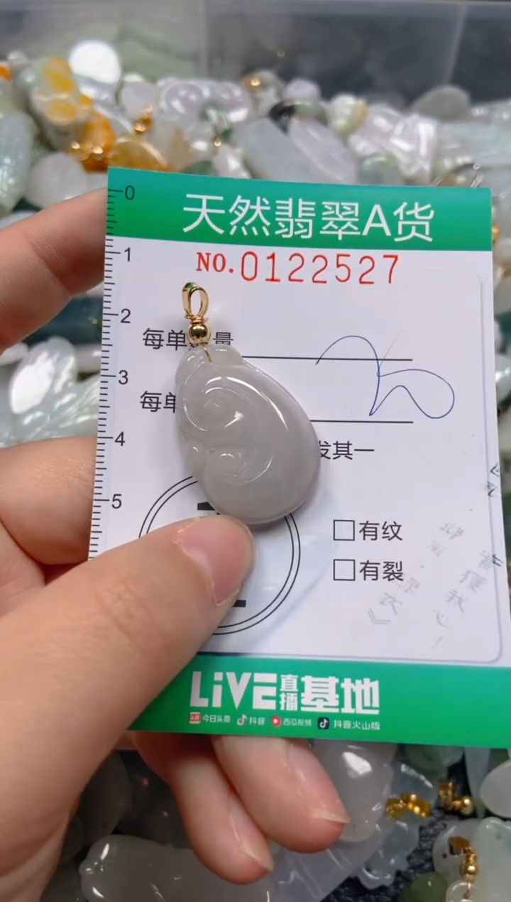 翡翠未镶嵌颈饰闪购01225327
