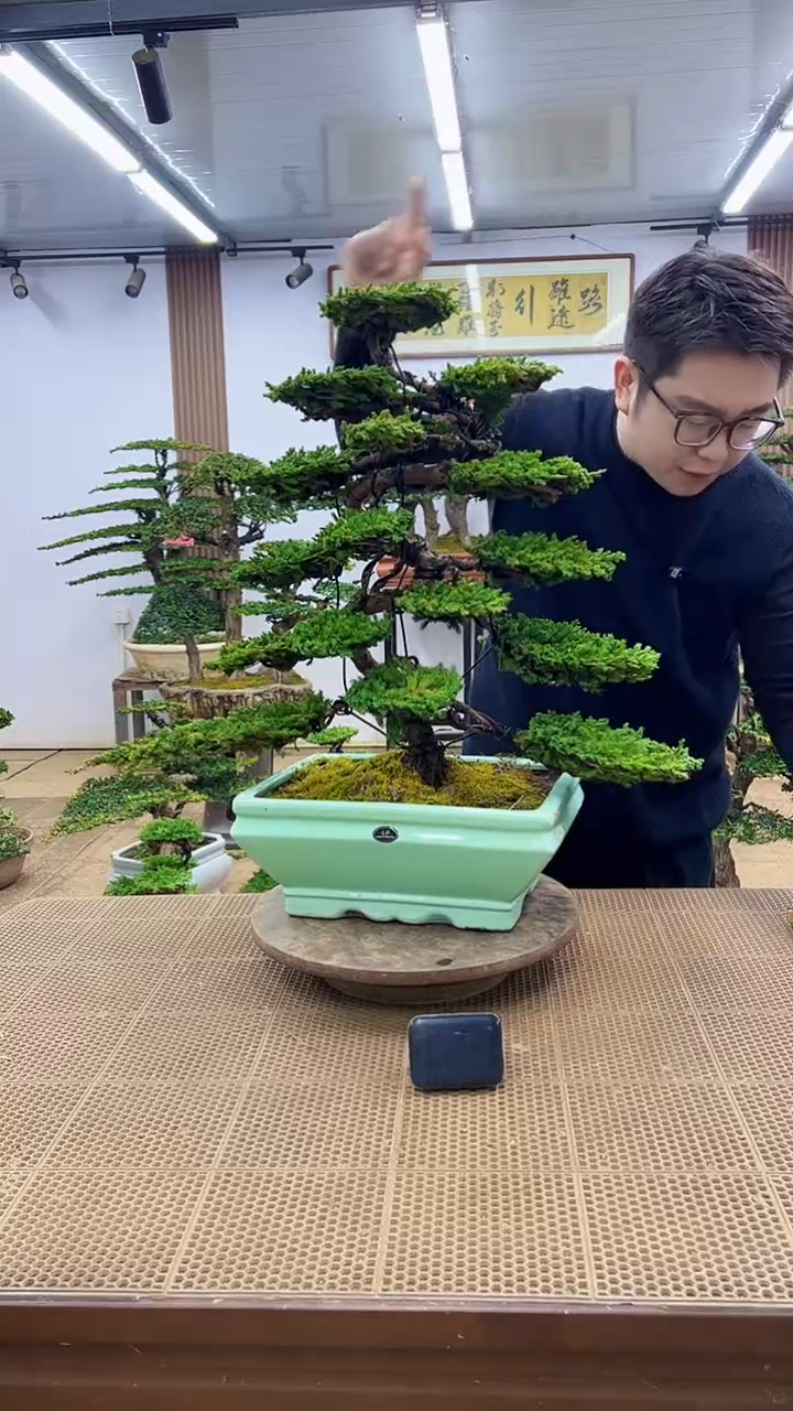 无花朵一物一拍，所见即所得