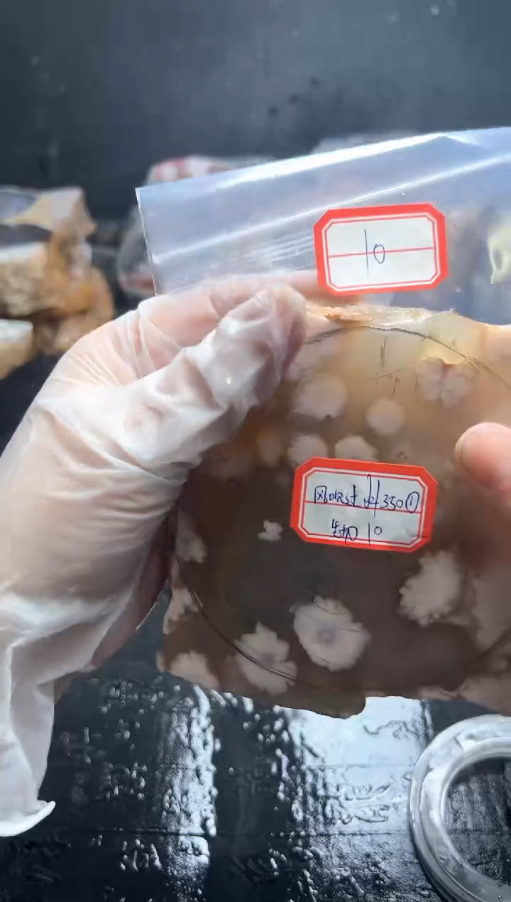 未镶嵌定制玛瑙............-10