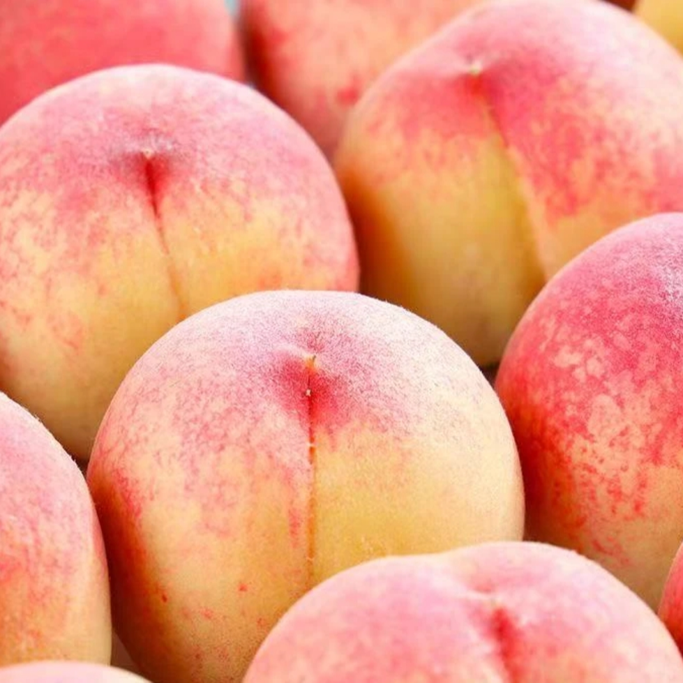 【软硬两吃】陕西露天新鲜采摘应季水果脆甜多汁可撕皮吃