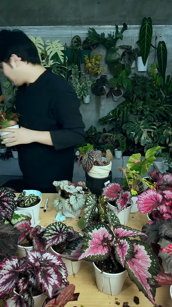 完全开放红果果2754