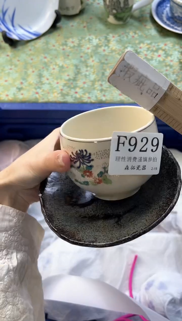 【闪购商品】瓷片          F929