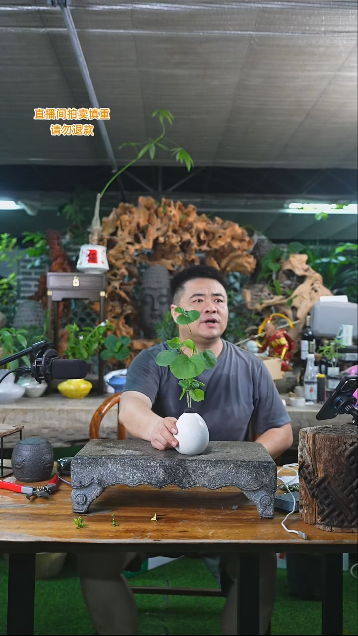 完全开放滨朴088+