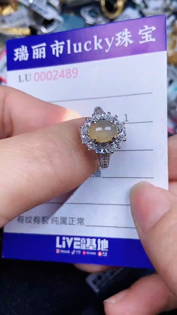 颈饰银S925镶嵌翡翠2489