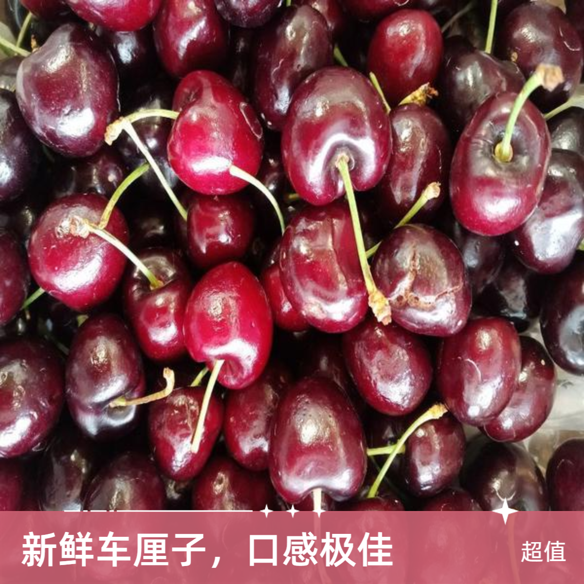 【鲜果配送】单J/双J/双J加大 车里子樱桃500g