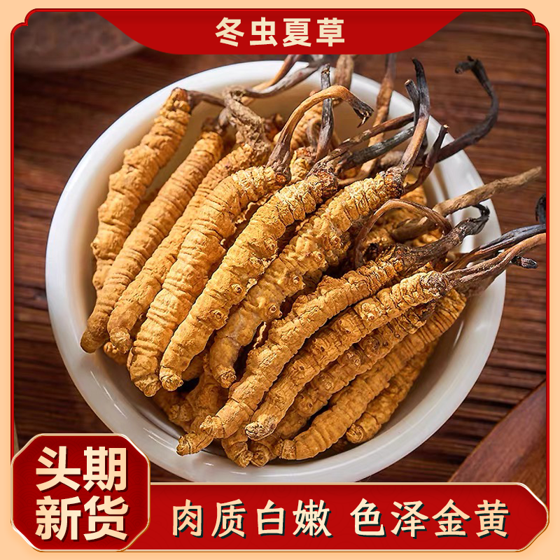 冬虫夏草礼盒 5000头