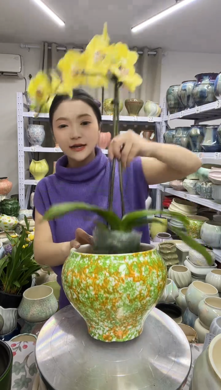 【12.4号】  花盆  高 ：  16  口：16