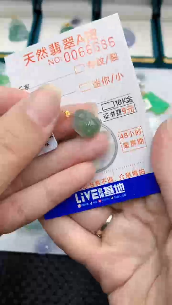 【闪购商品】翡翠颈饰18K金镶嵌            8