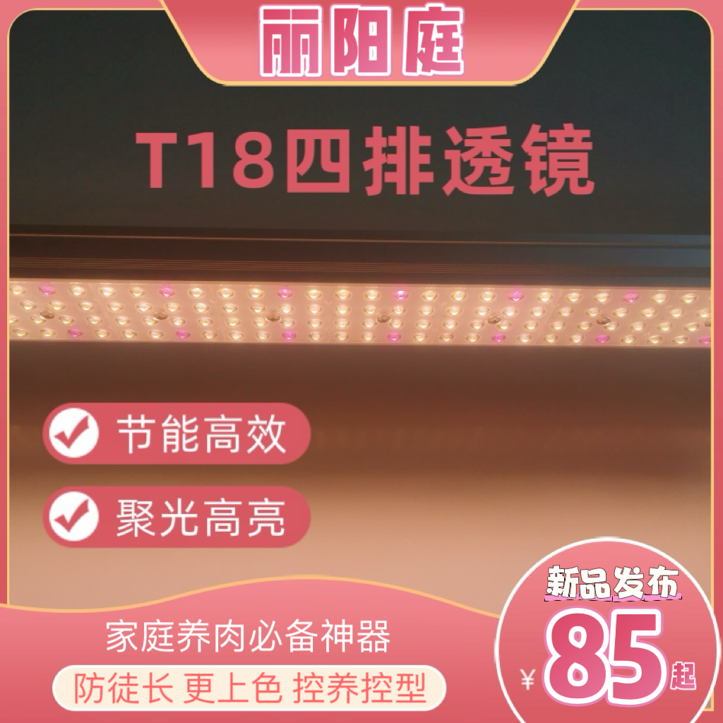 丽阳庭T18/T36全光谱聚光透镜LED多肉防徒上色室内节能家用补光灯