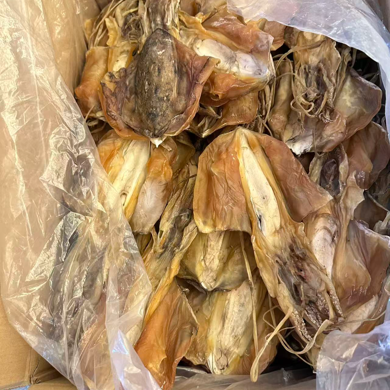精选5-7头血墨鱼干煲汤佳品滋补海鲜干货