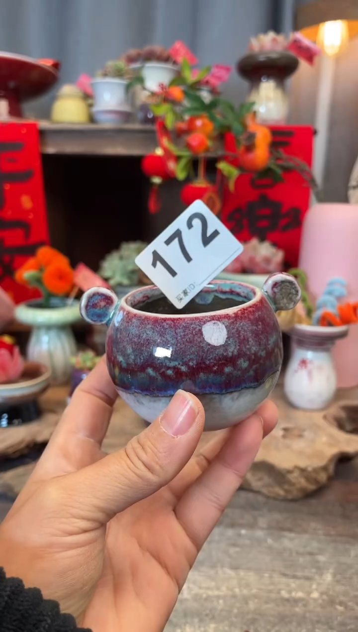 【闪购商品】摆件172知木小芳花盆