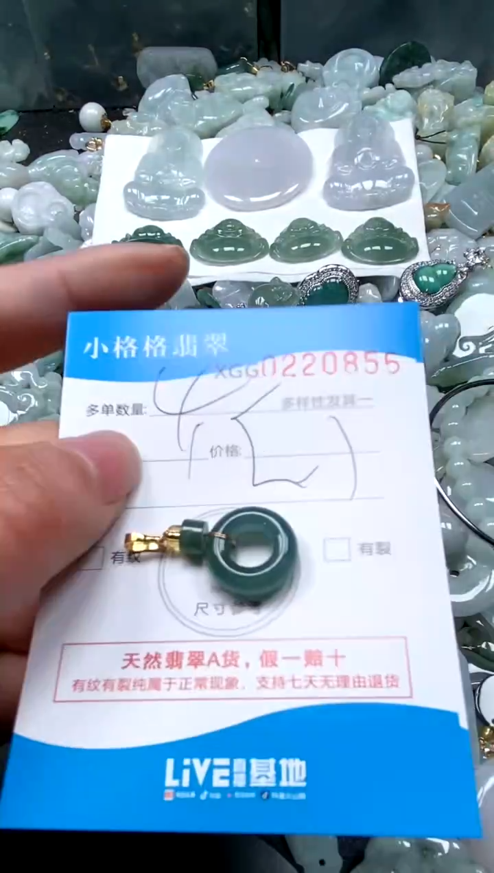 【闪购商品】翡翠颈饰未镶嵌闪购商品0220856多样性