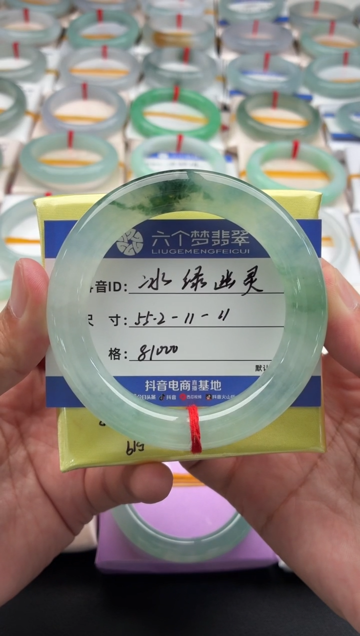 未镶嵌手镯翡翠冰种飘水草绿花 48小时鉴赏期
