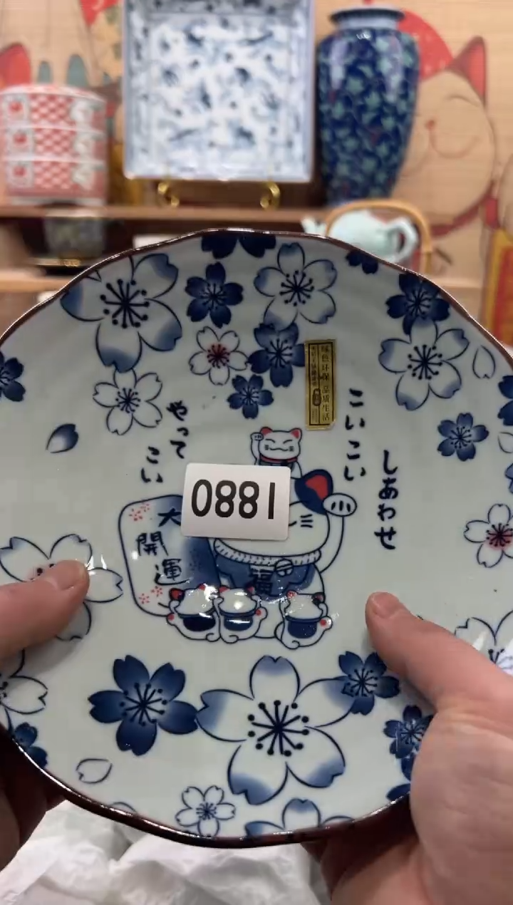 瓷片小**?瓷片------I880