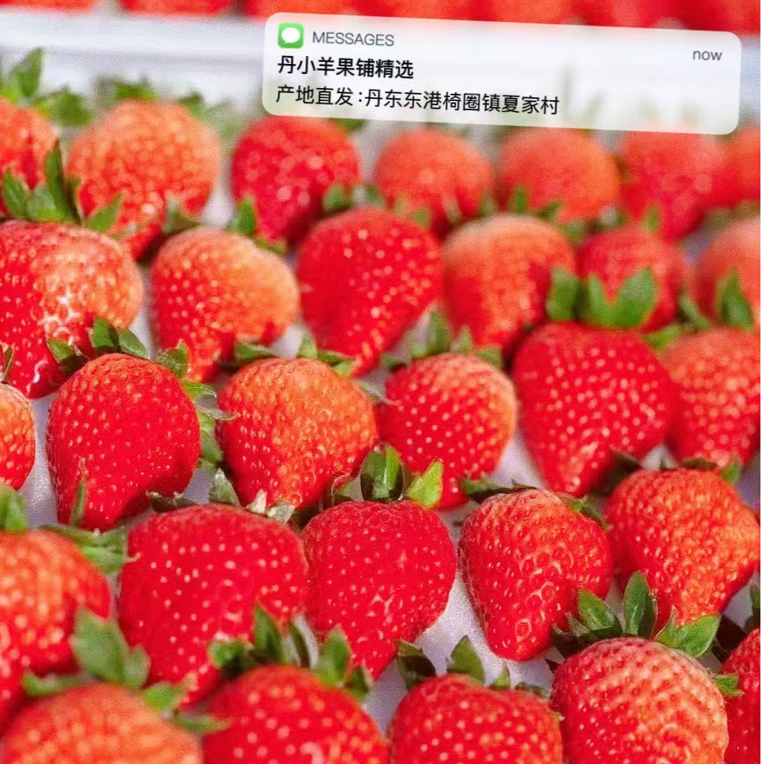 【5斤】正宗丹东99草莓核心产区自产自销顺丰空运现摘现发红颜奶油