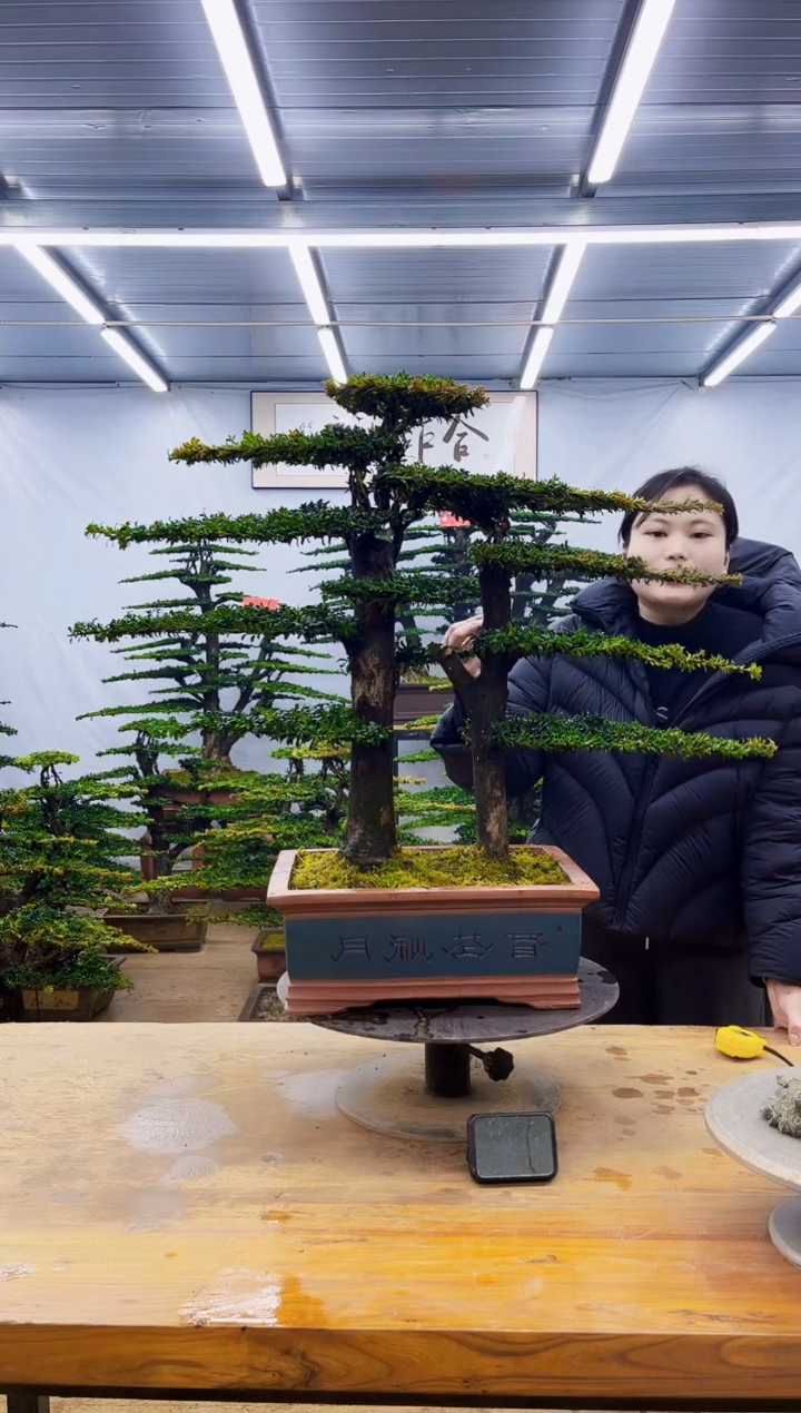 无花朵一物一拍·所见即所得