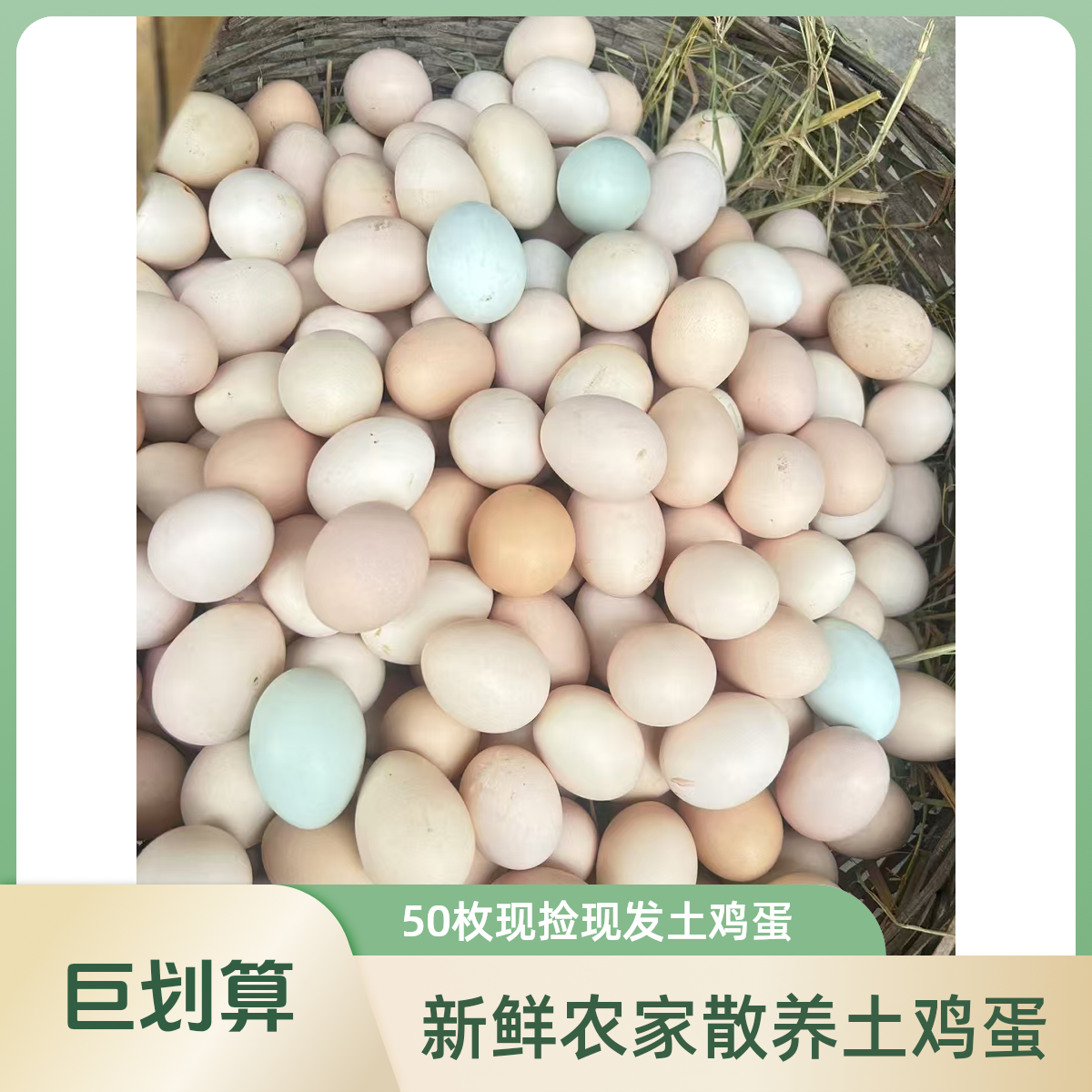 散养土鸡蛋乌鸡蛋25个绿壳蛋+25个粉壳蛋