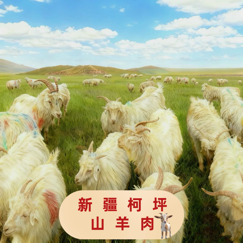 新疆柯坪散养土山羊整羊6公斤切块45%腿排 盐碱牧场滋养 顺丰现发