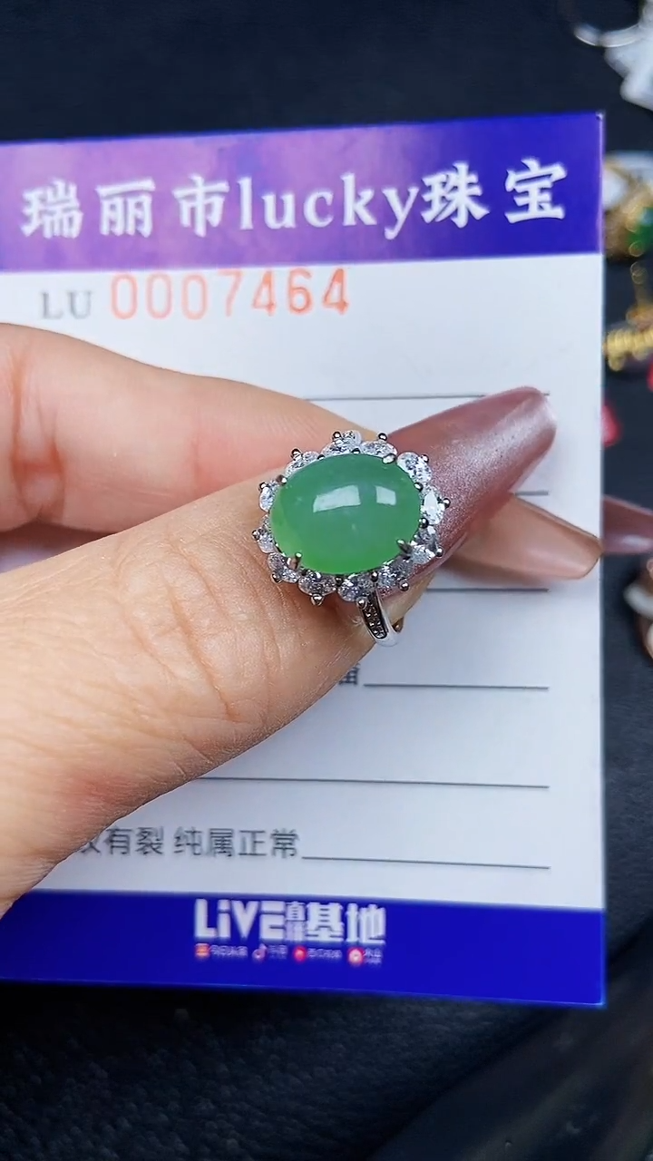 颈饰银S925镶嵌翡翠7464
