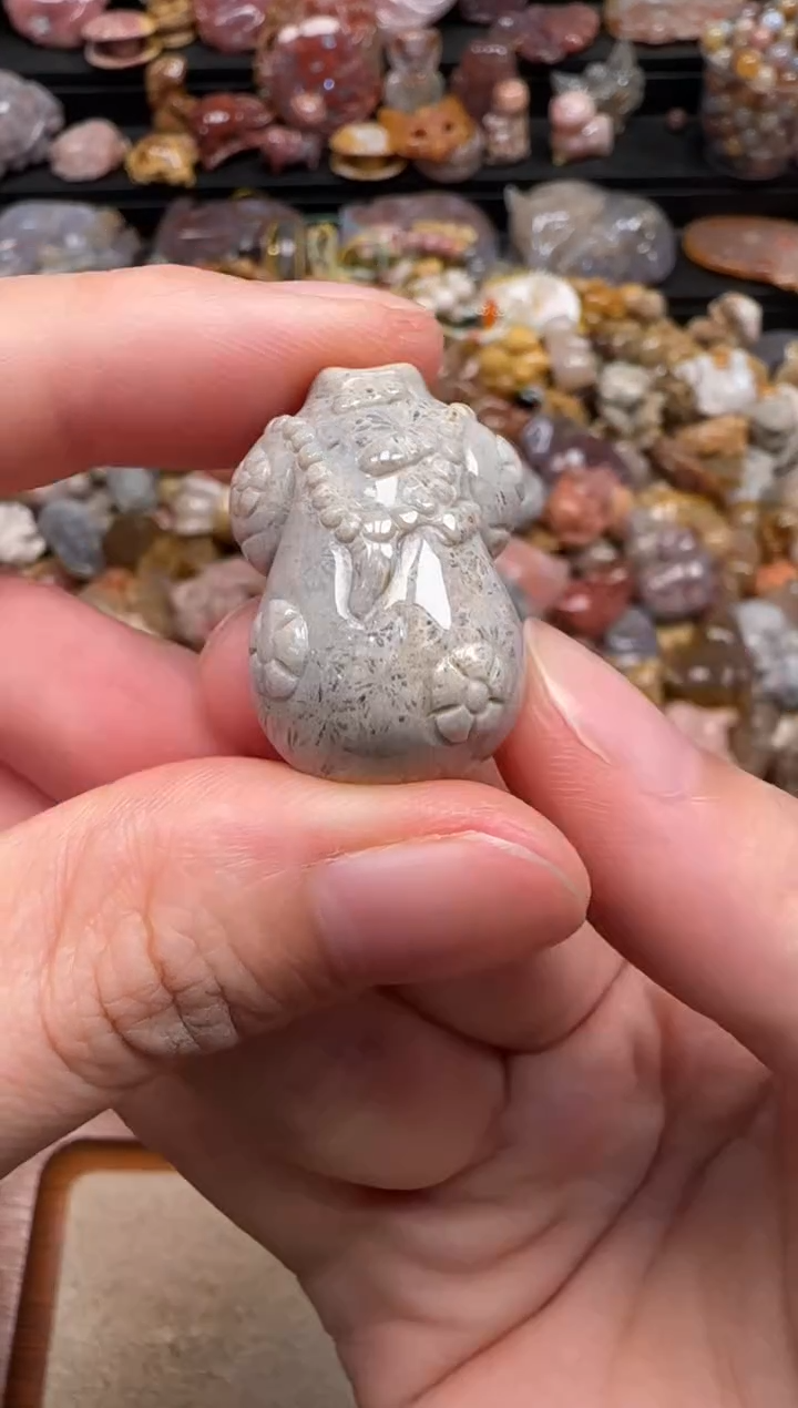 硅化珊瑚（珊瑚玉）未镶嵌颈饰771