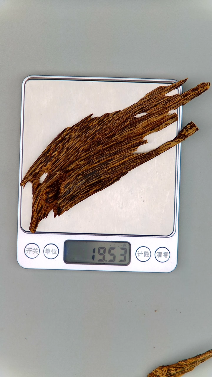 一木一天堂 泰国料19.5g